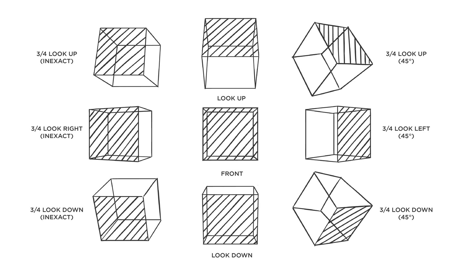 Drawing Head Angles (WIP) - image 1 - student project