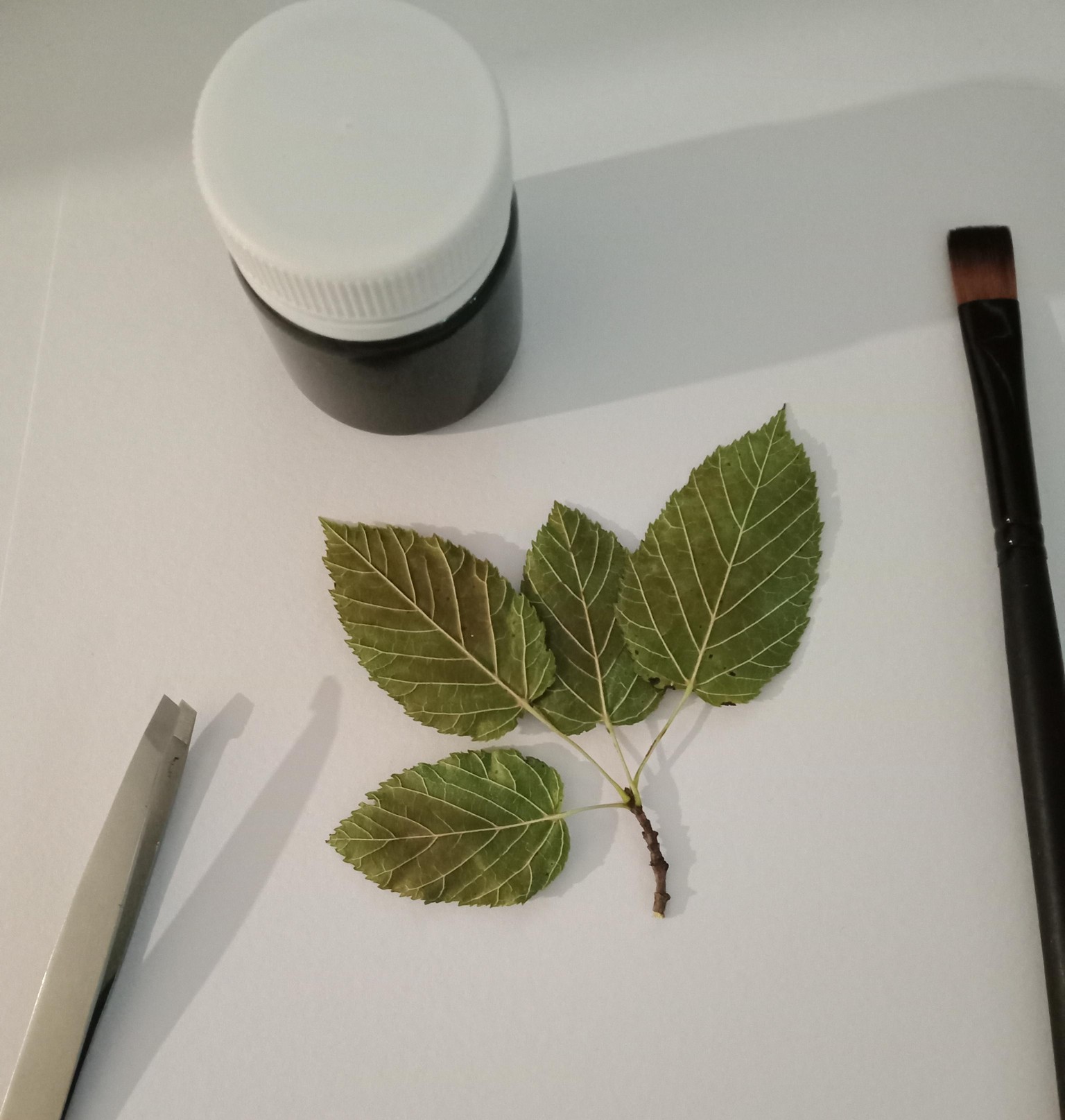 It was fun :) - image 2 - student project