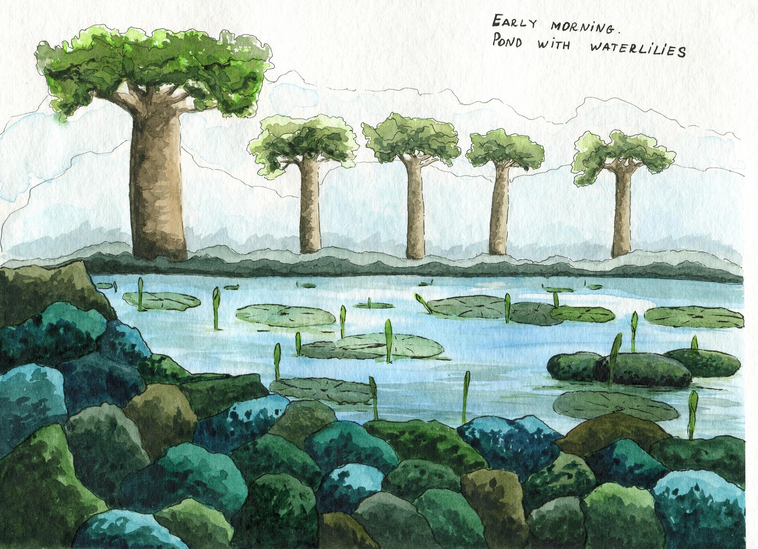 My Madagascar - image 1 - student project