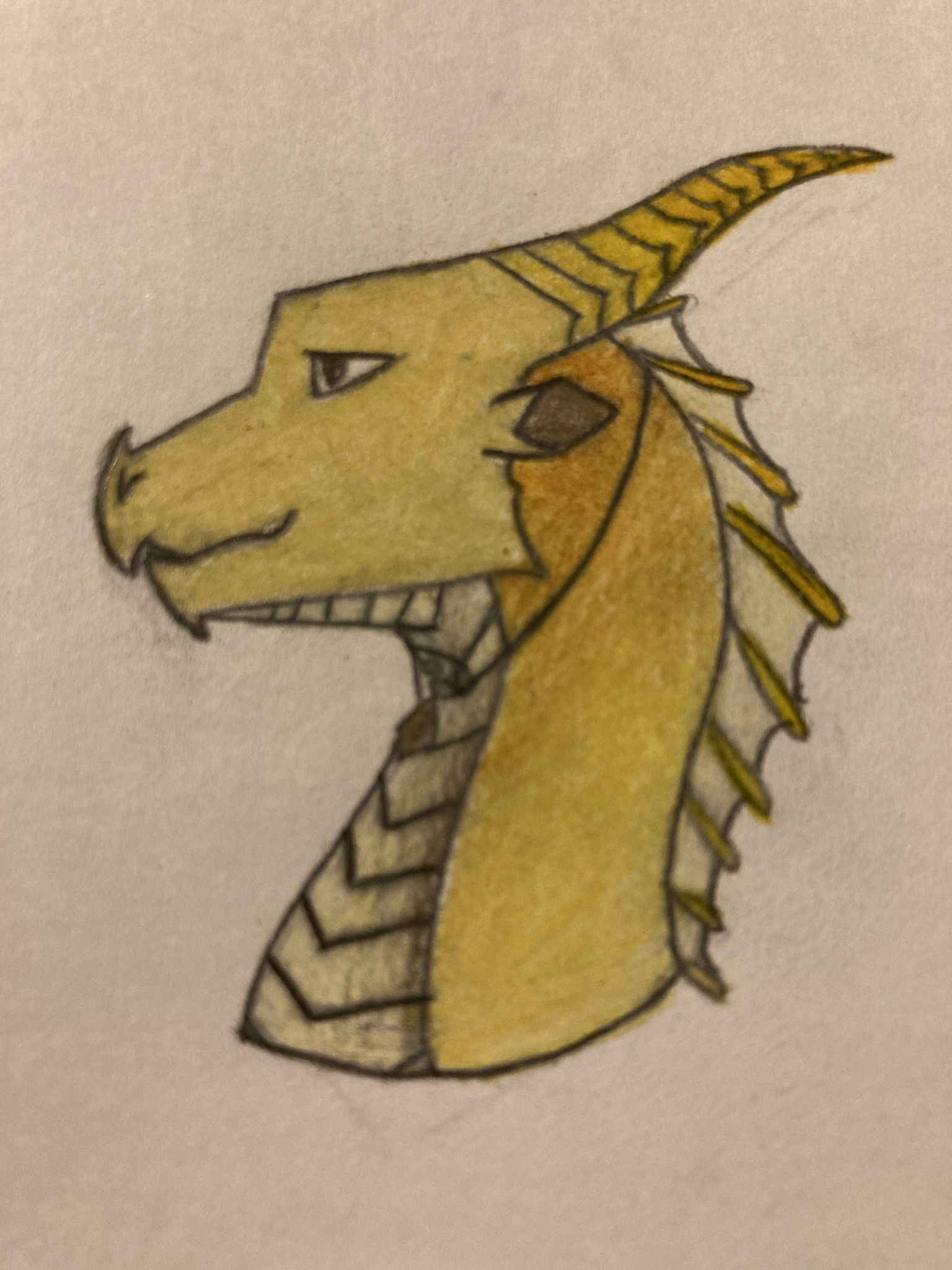 Mustard dragon - image 1 - student project