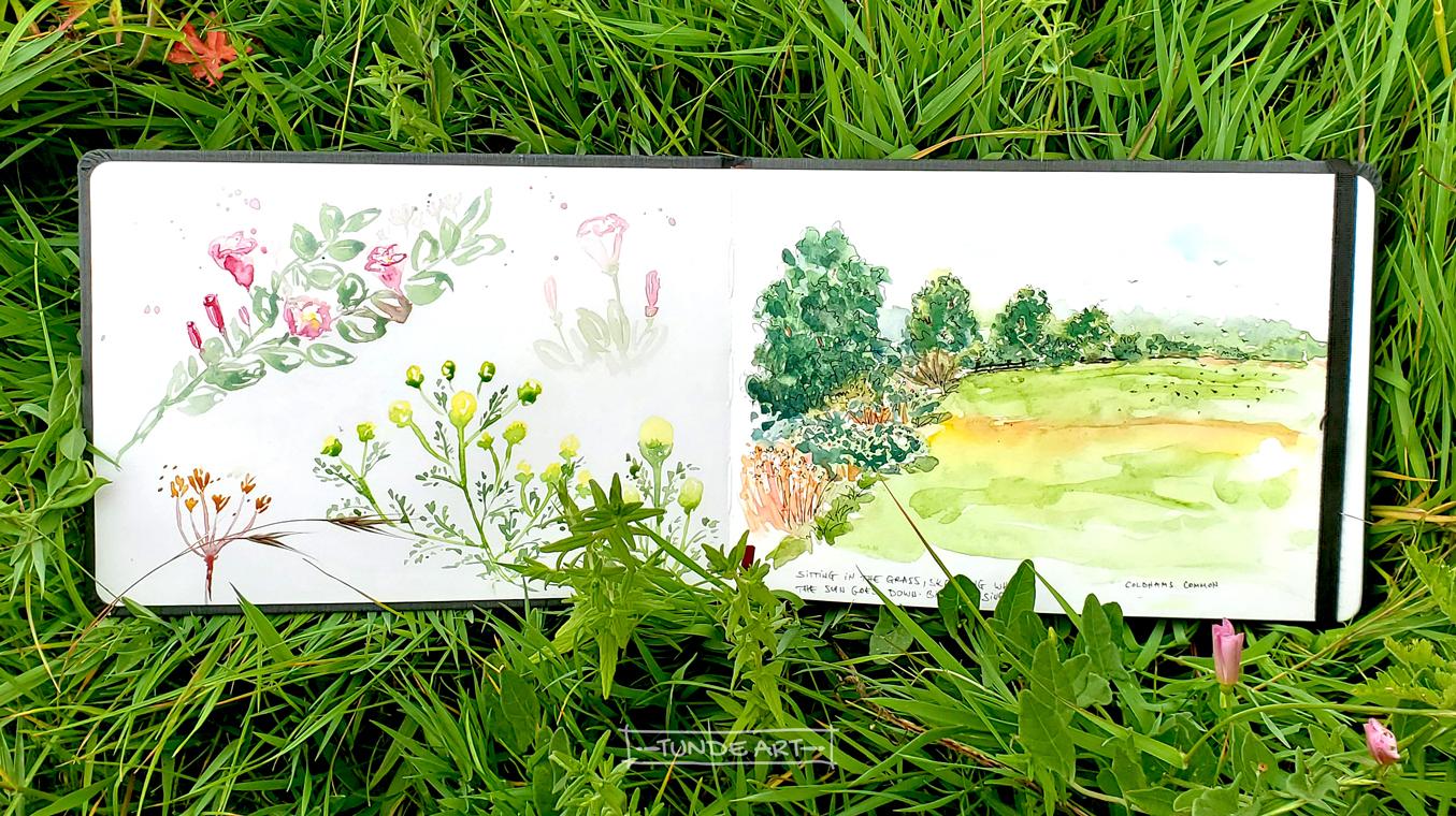 Sketching Wild Flowers - image 2 - student project