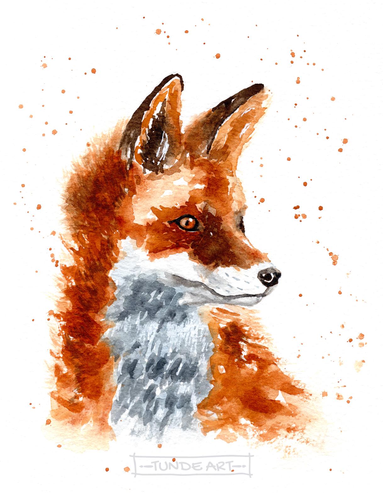 Little Fox - image 1 - student project