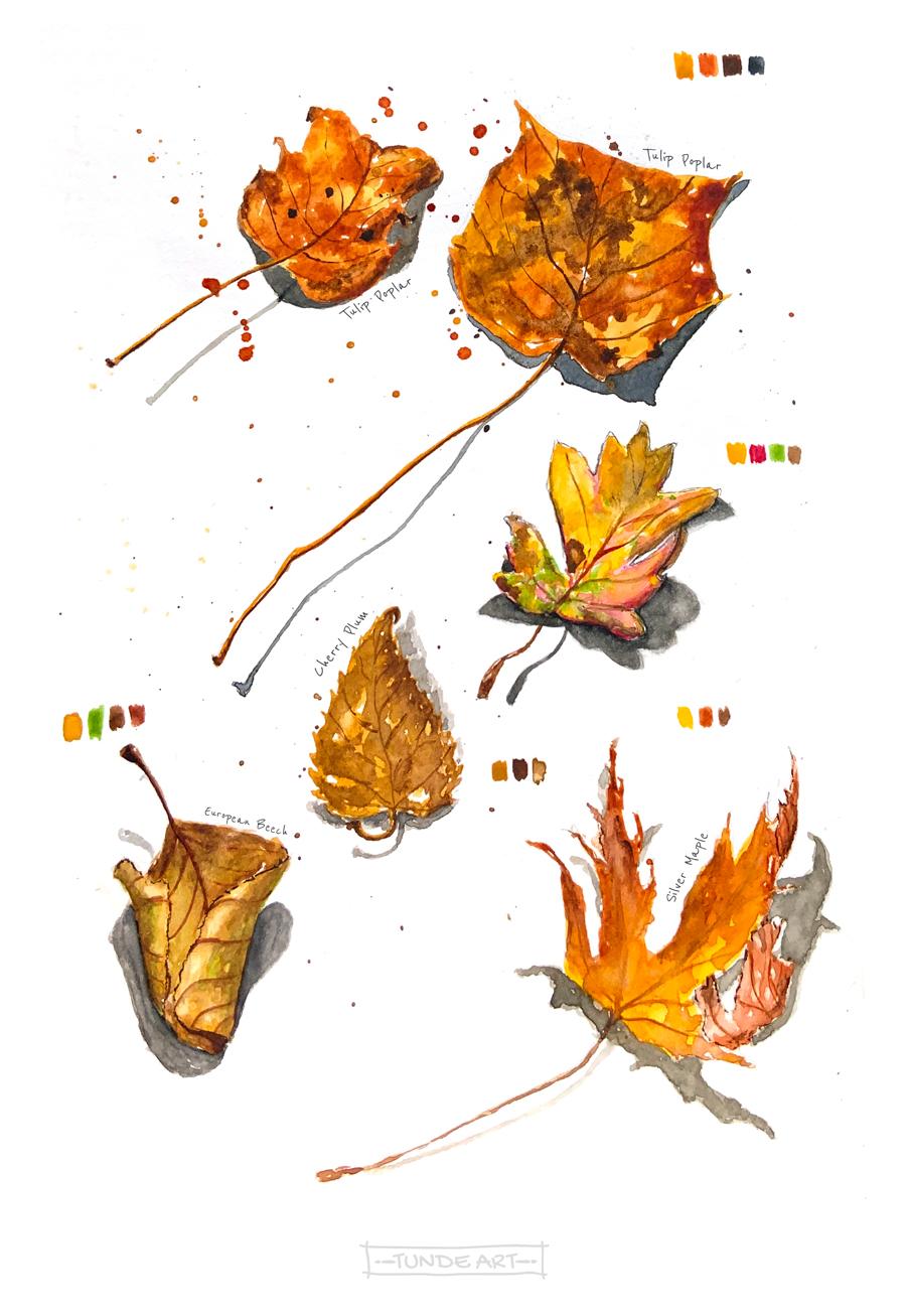Autumn in my sketchbook - image 3 - student project