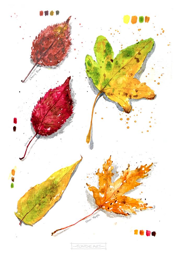 Autumn in my sketchbook - image 4 - student project
