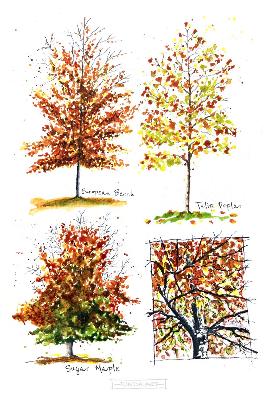 Autumn in my sketchbook - image 9 - student project