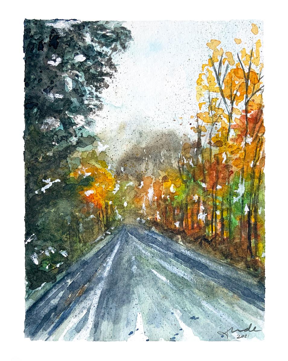 Amazing Autumn Colours - image 1 - student project