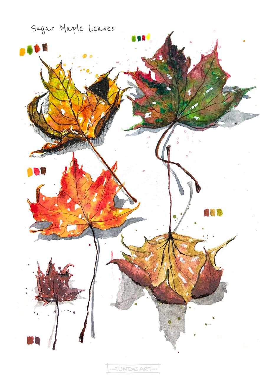 Autumn in my sketchbook - image 7 - student project