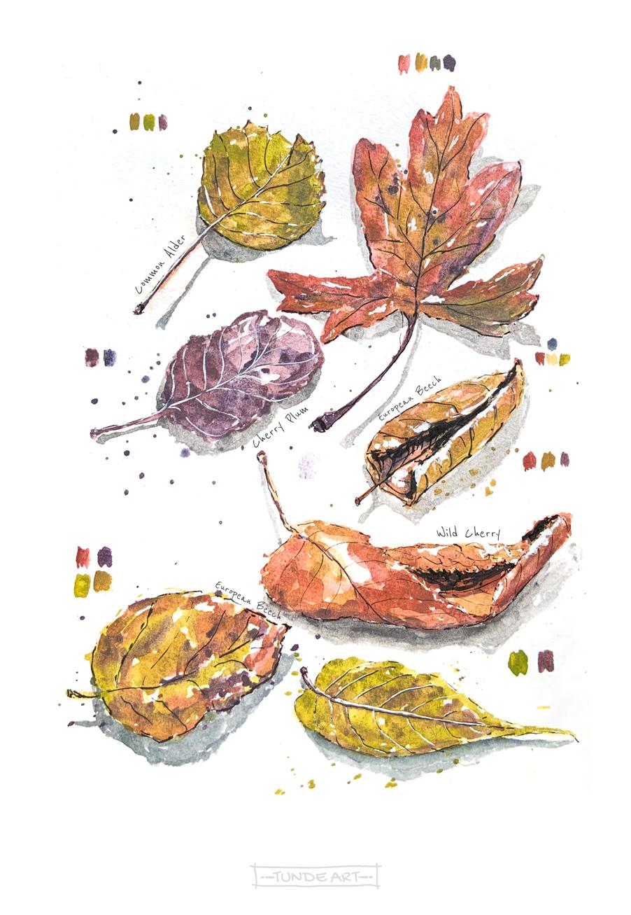 Autumn in my sketchbook - image 5 - student project