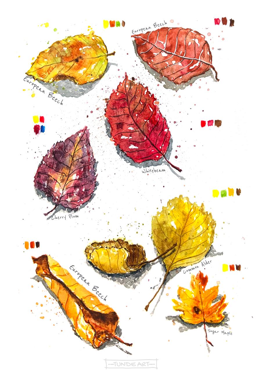 Autumn in my sketchbook - image 6 - student project