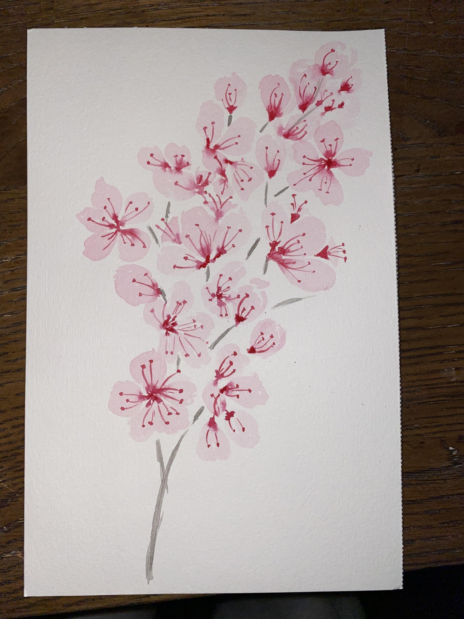 Cherry blossom - image 1 - student project
