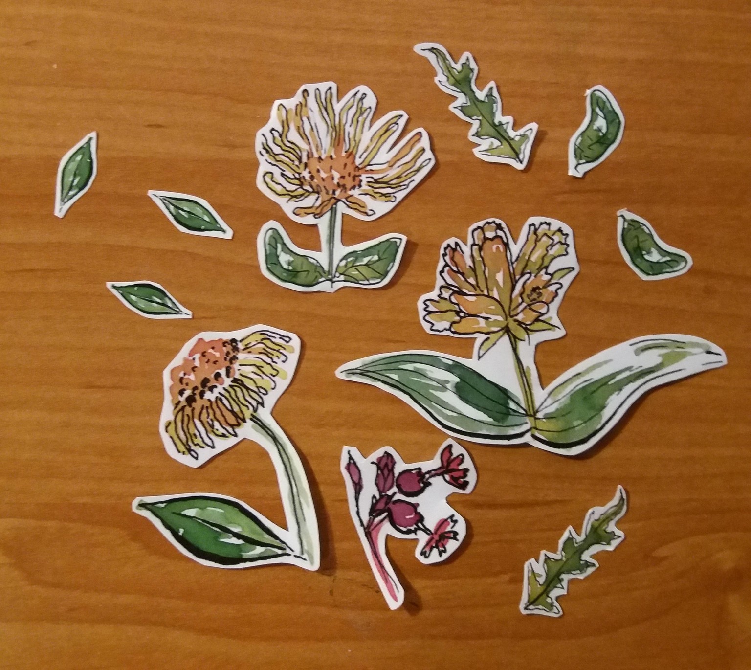 Spring flowers sticker set - image 1 - student project
