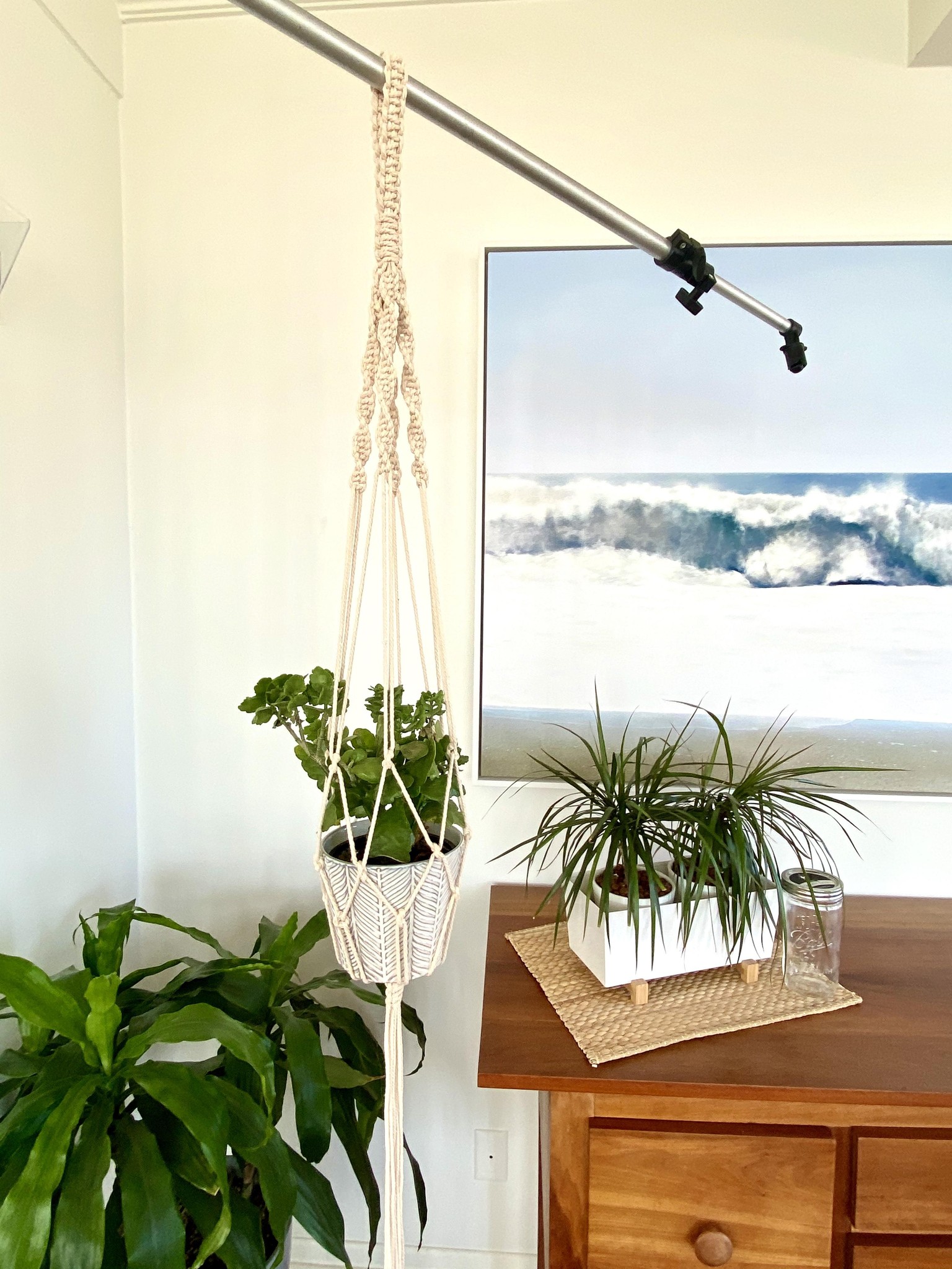 Macrame Plant Hanger - image 1 - student project