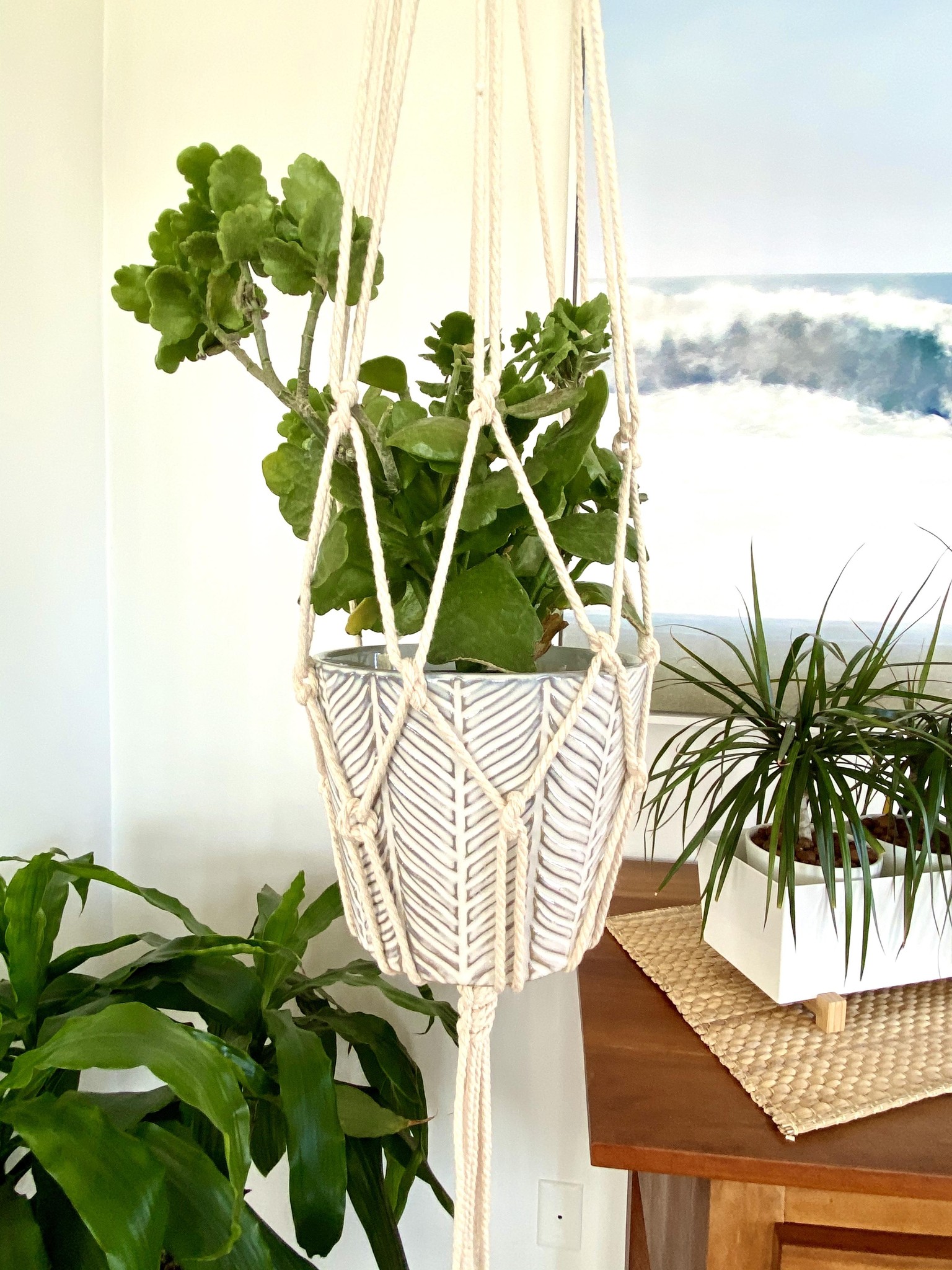 Macrame Plant Hanger - image 3 - student project