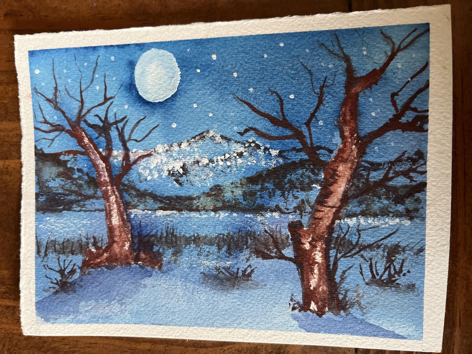 Winter Inspired Holiday cards - image 1 - student project