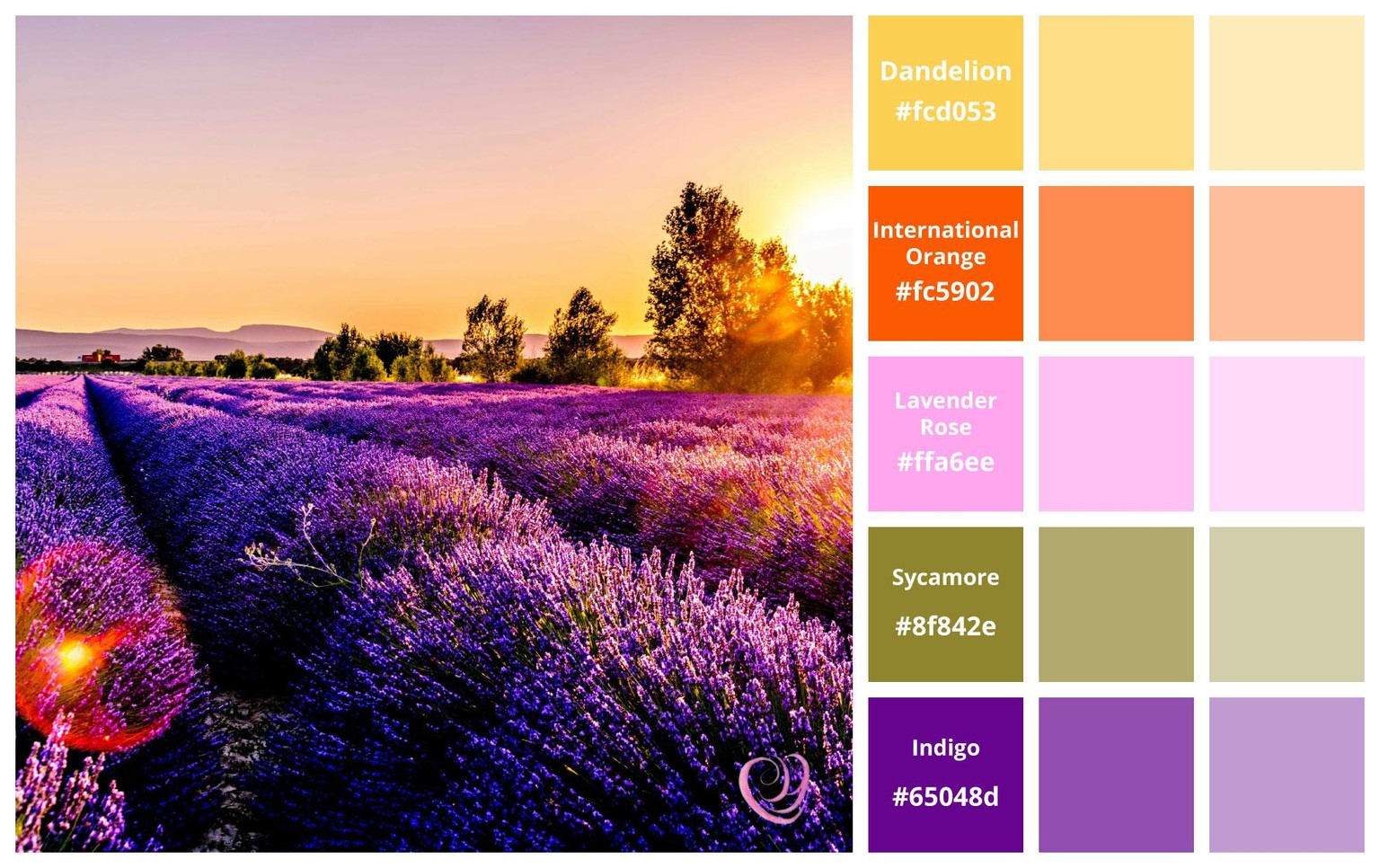 Purple Flower Field Palette - image 1 - student project