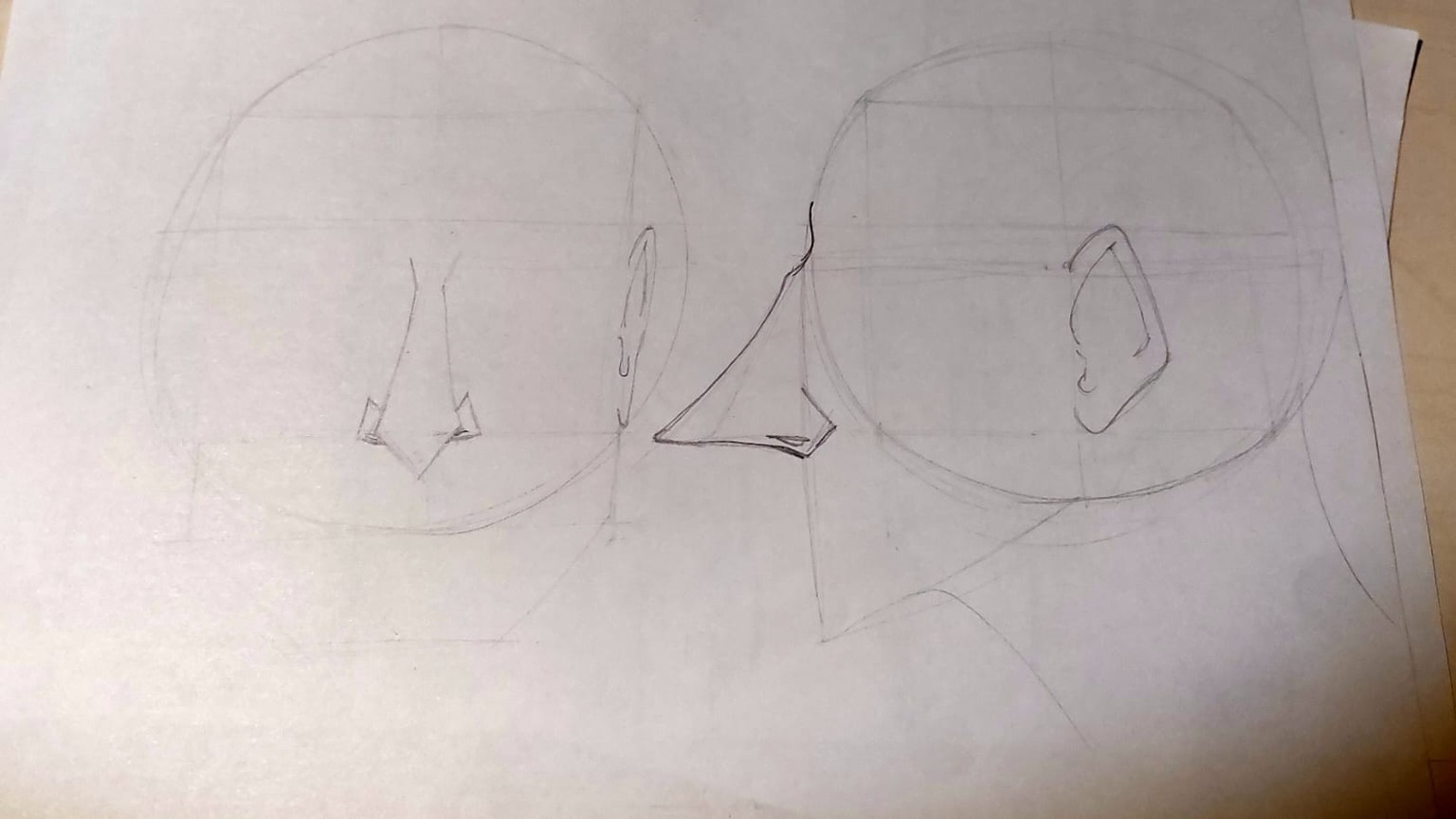 my noses and ears - image 2 - student project