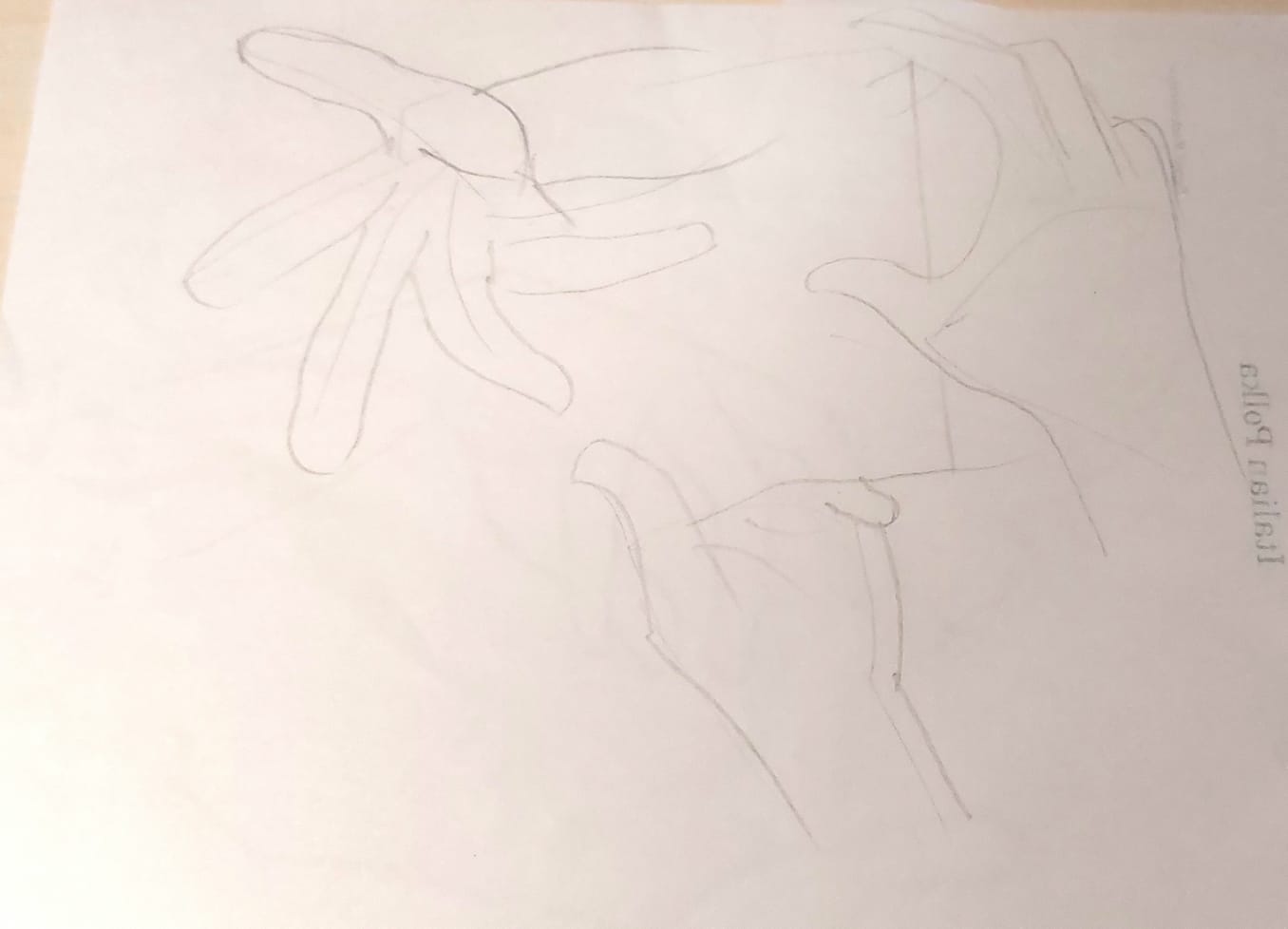Hands - image 1 - student project