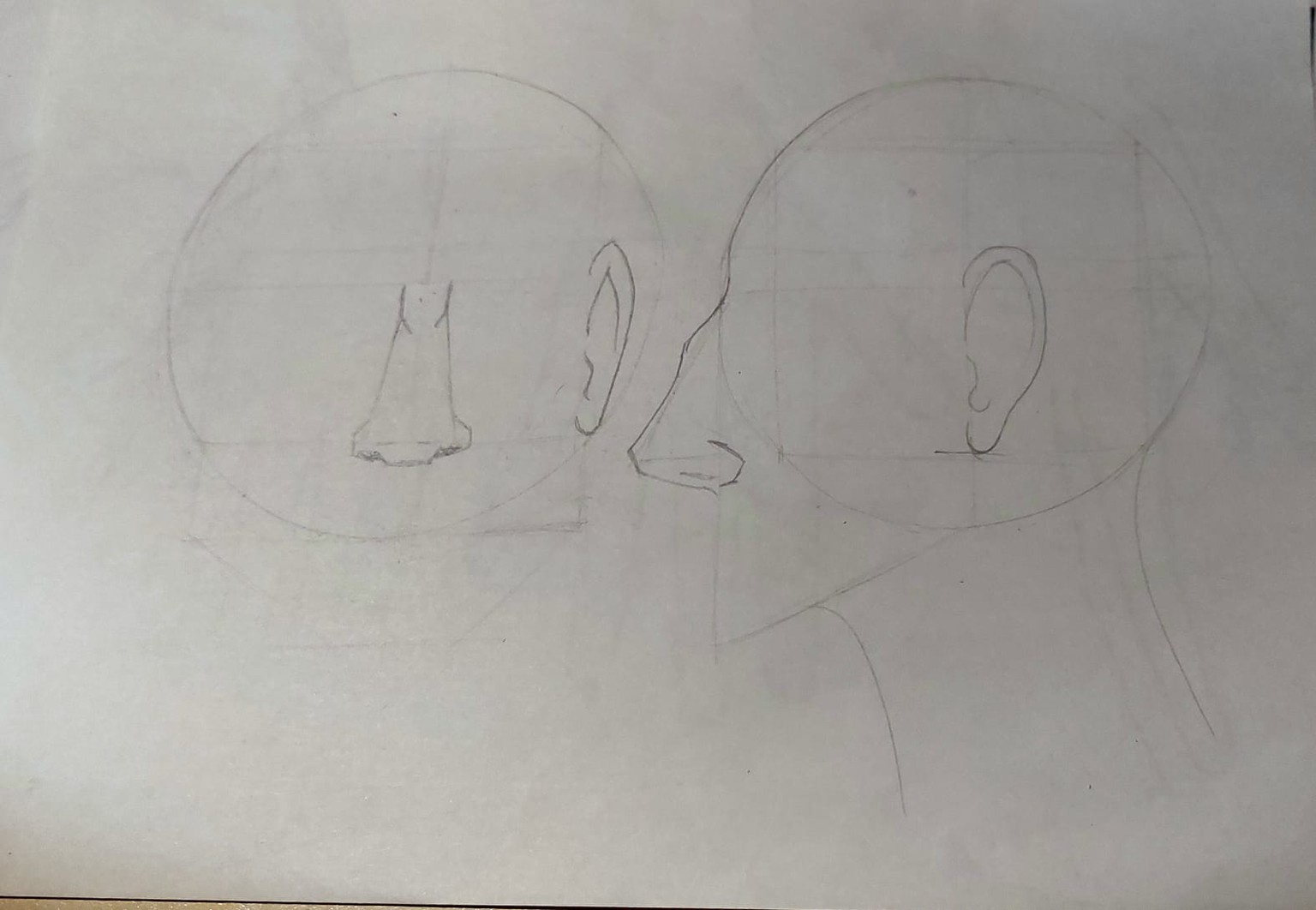 my noses and ears - image 3 - student project