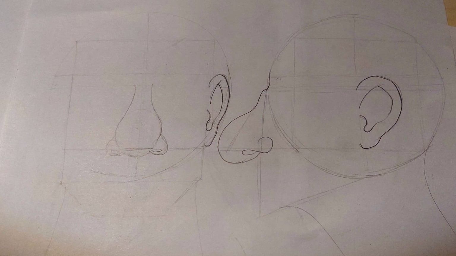 my noses and ears - image 1 - student project