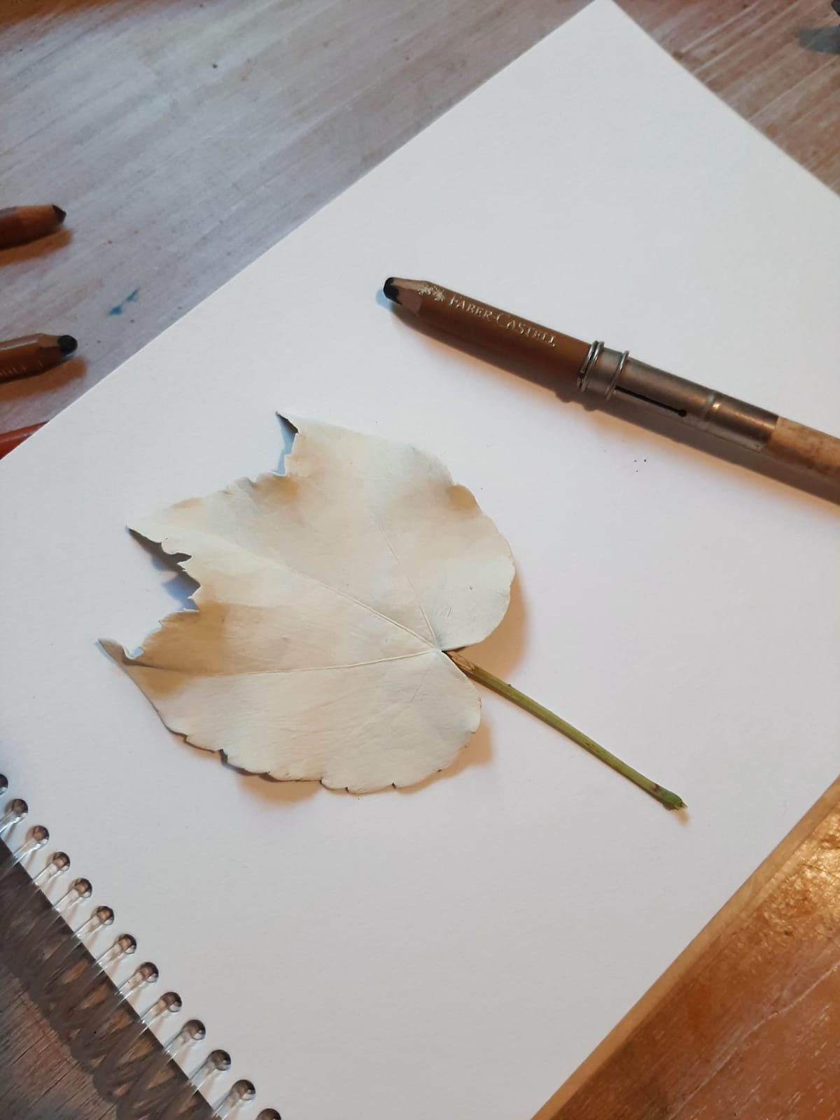 Exercises - image 2 - student project