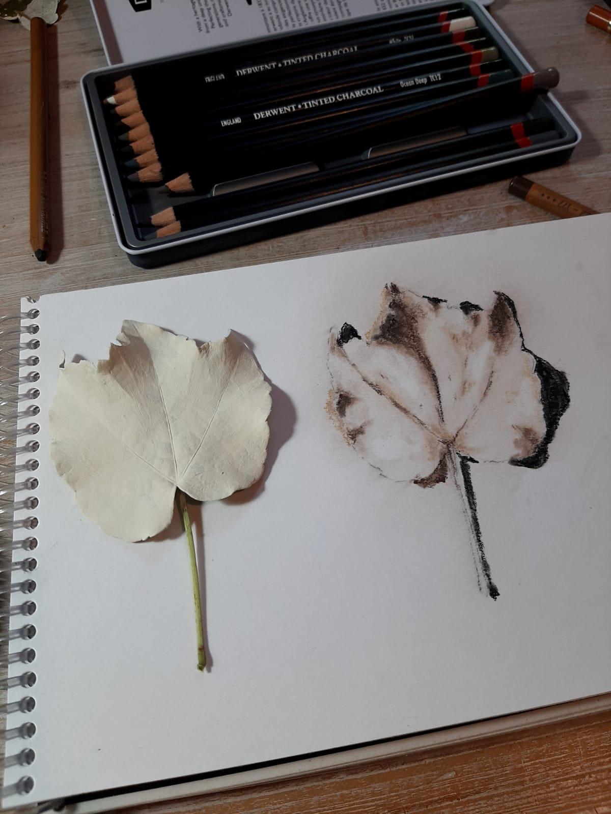 Exercises - image 3 - student project