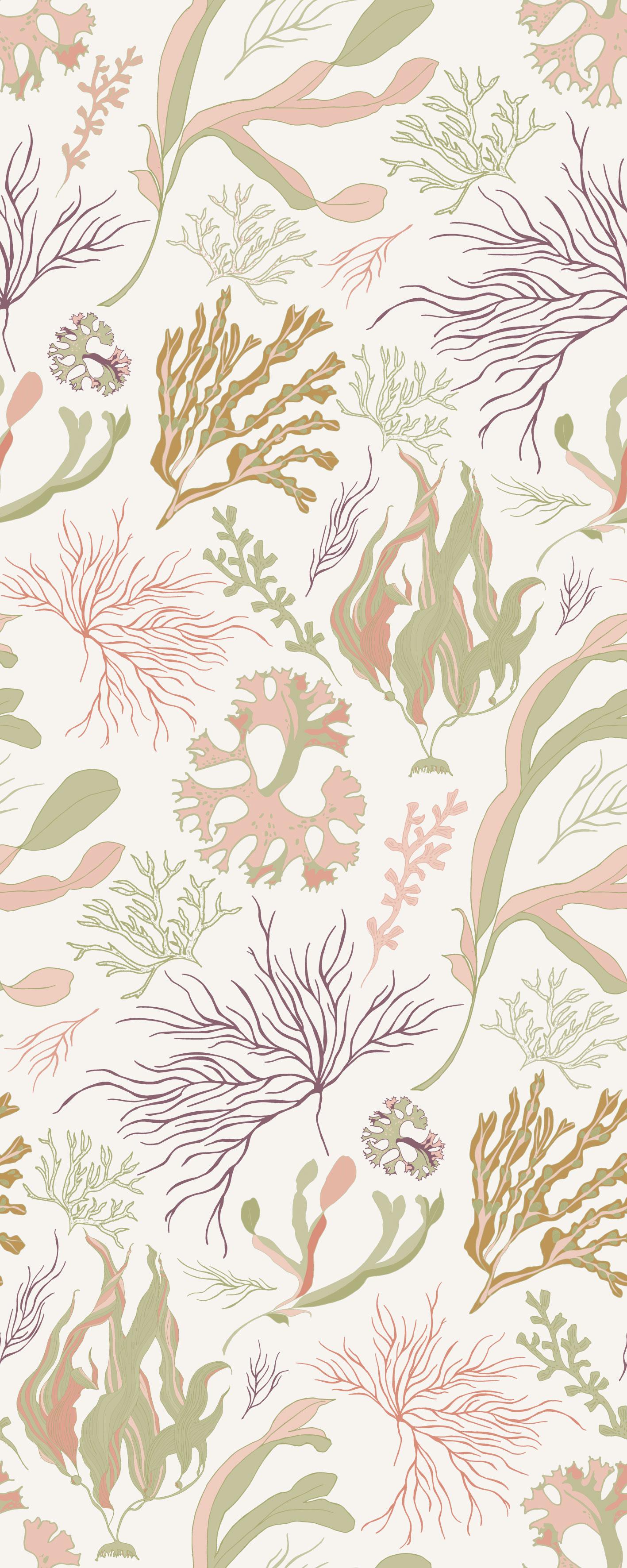 Seaweed Botanical Design_julesjac964 - image 1 - student project