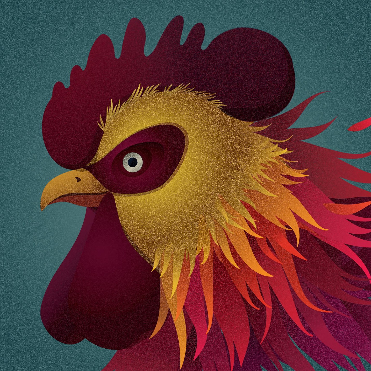 Rooster - image 1 - student project