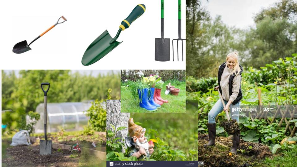 National Garden Wildlife week. - image 3 - student project