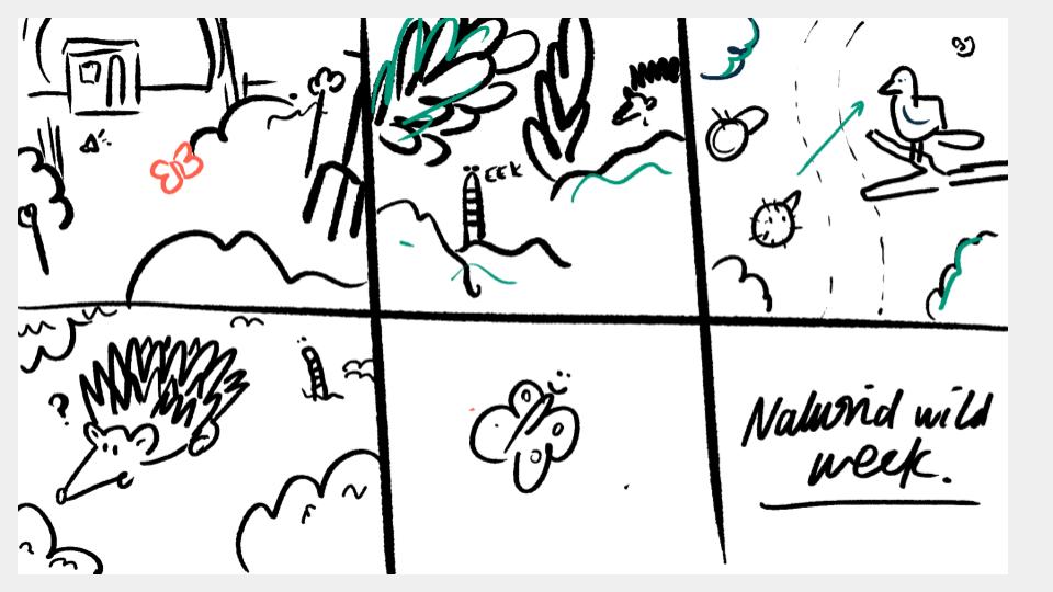 National Garden Wildlife week. - image 8 - student project