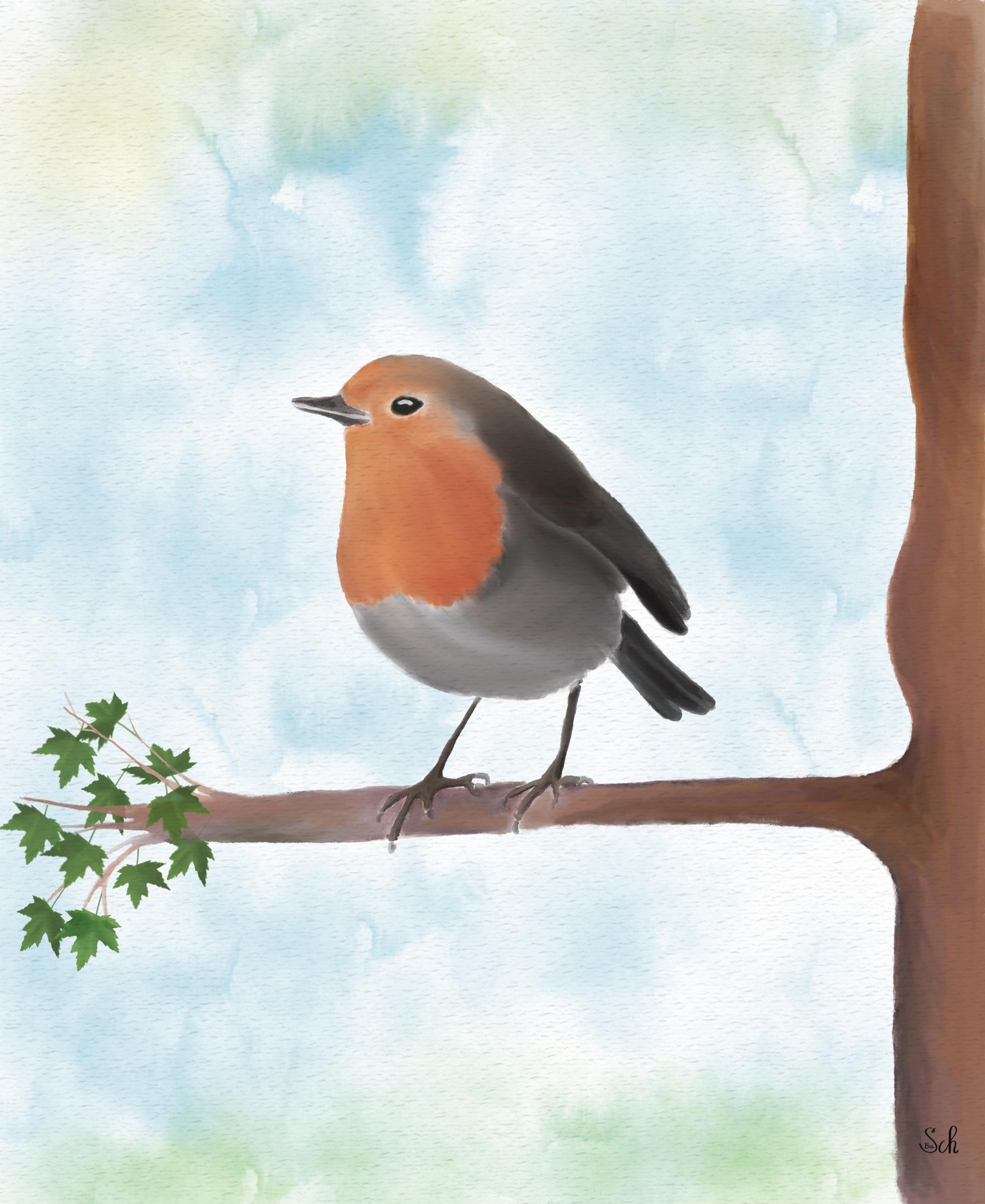 Birds - image 1 - student project
