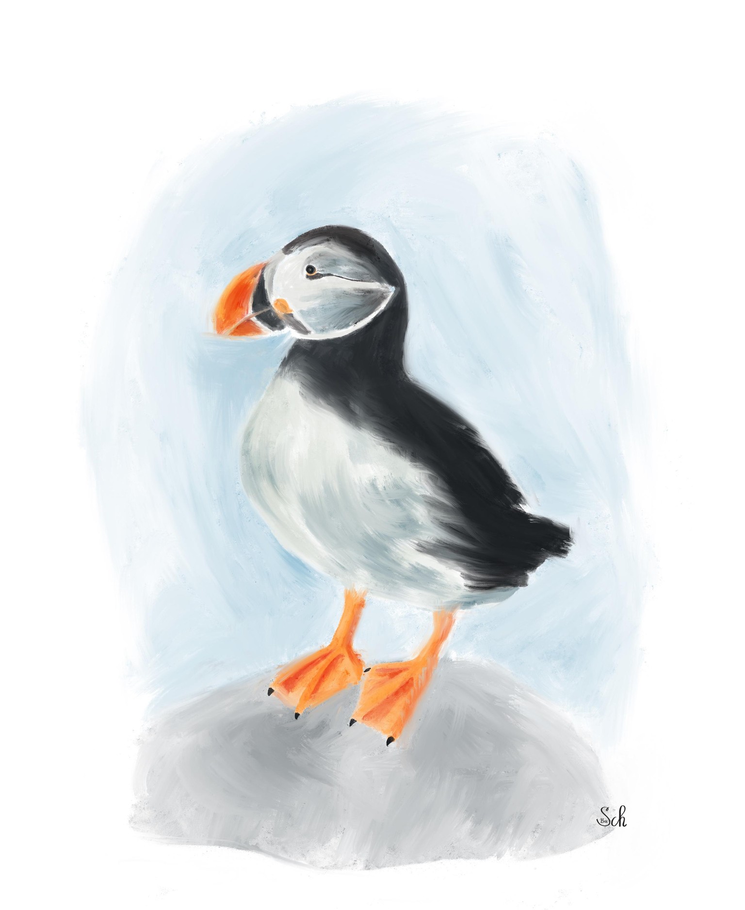Birds - image 3 - student project