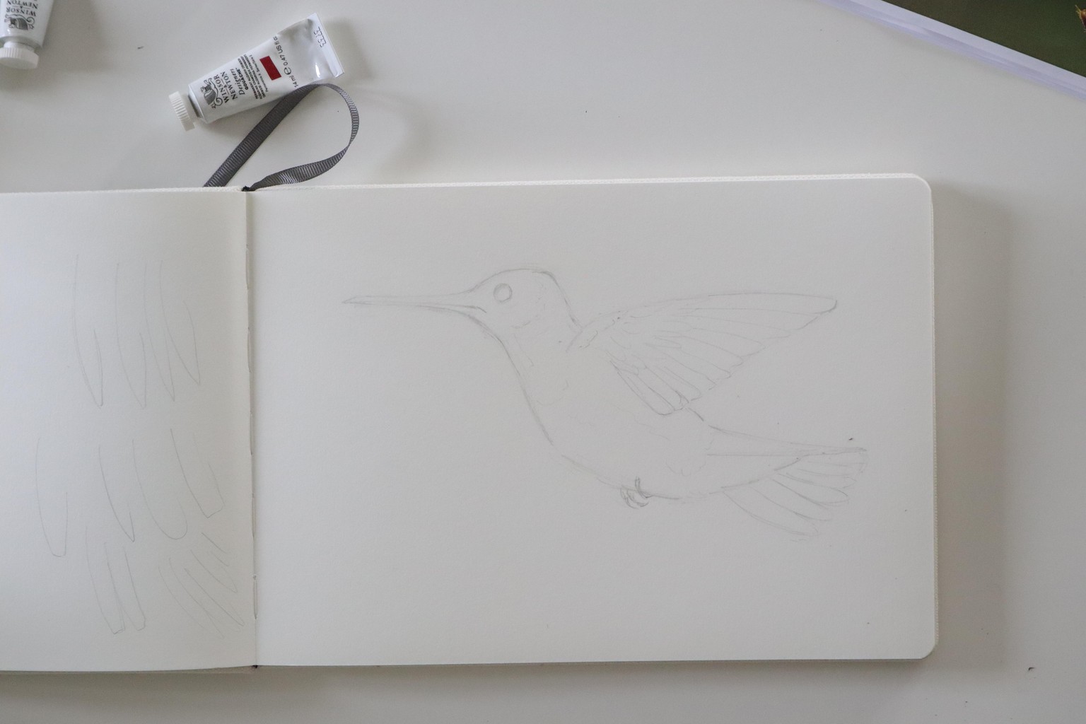 Sketching and Painting Birds - SAMPLE PROJECT - image 1 - student project