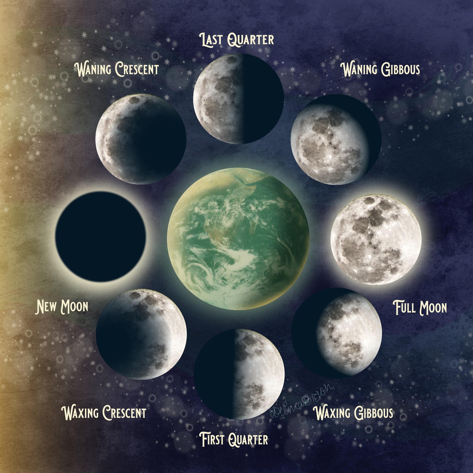 Moon Phases in Affinity Designer - image 1 - student project