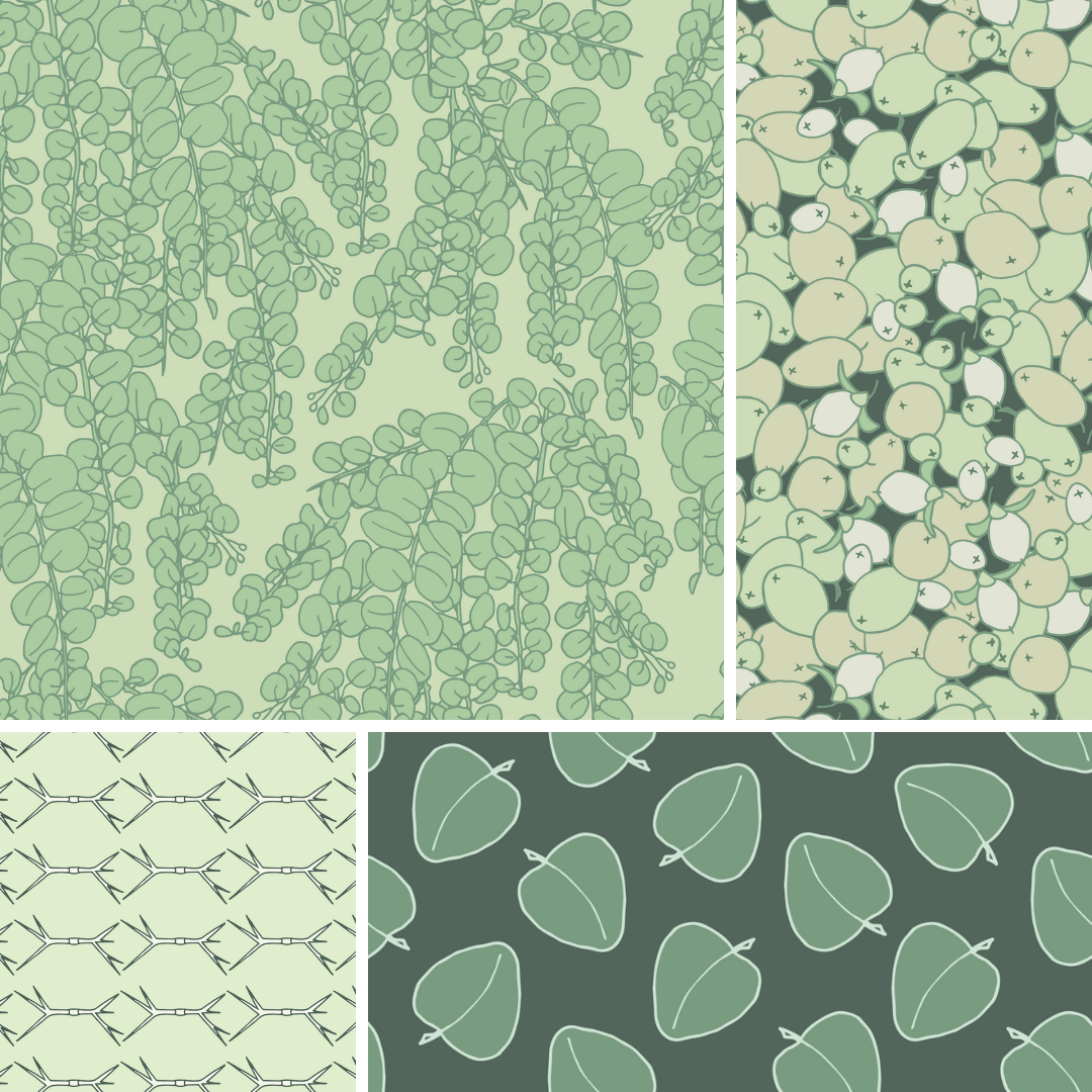 Evergreen collection - image 1 - student project