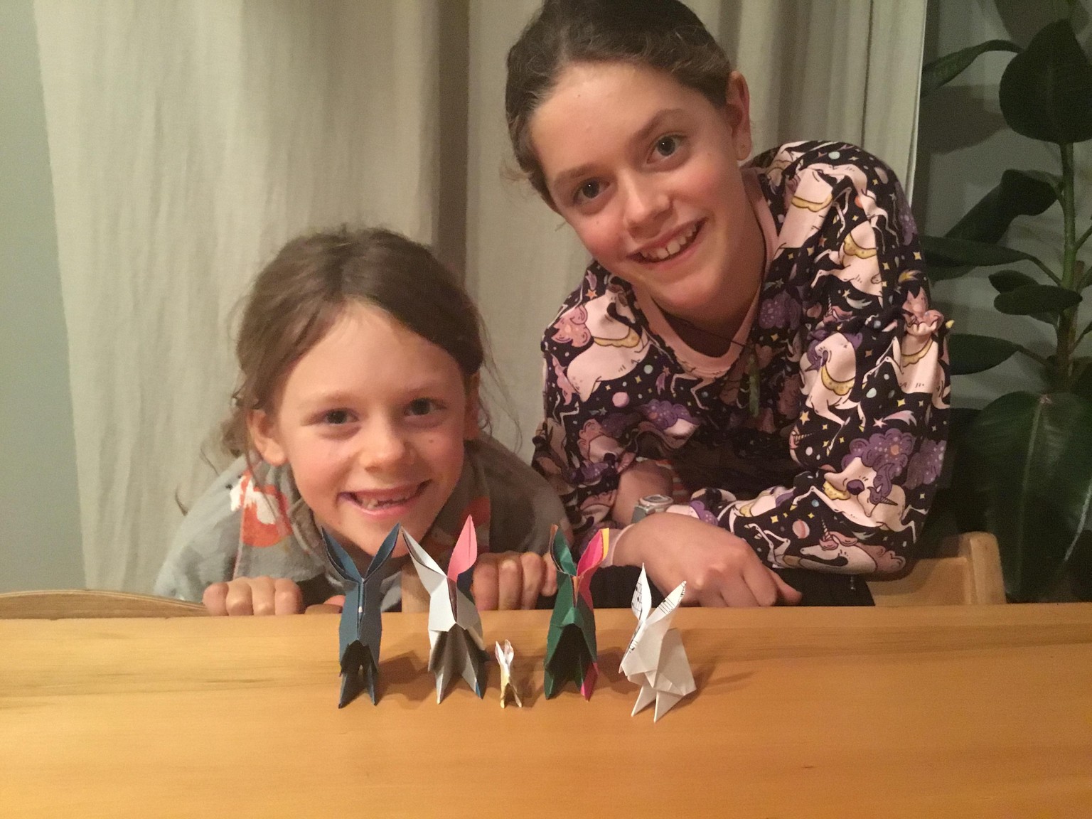 The family of rabbits - thank you - image 1 - student project