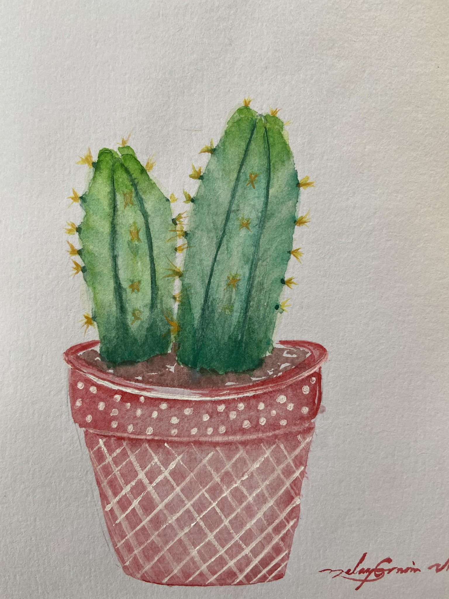Cacti & Succulents - image 4 - student project