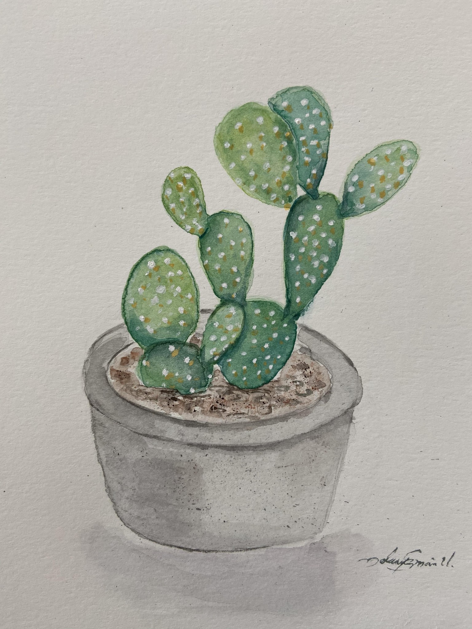 Cacti & Succulents - image 2 - student project