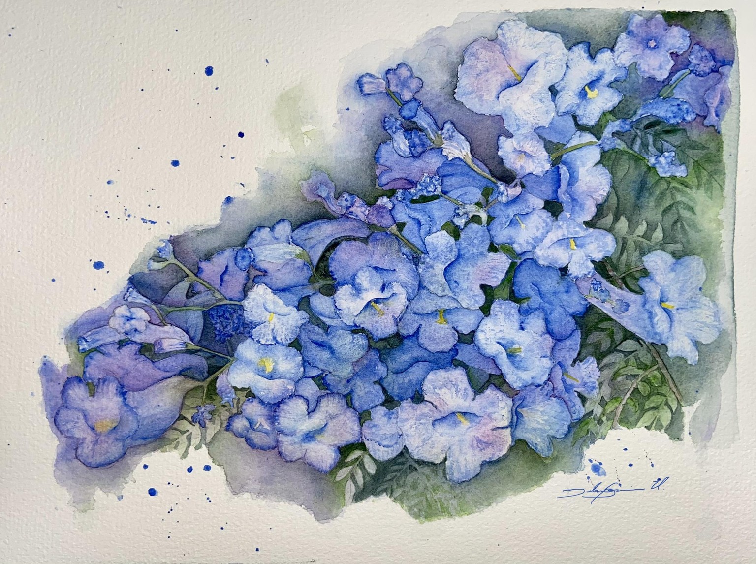 Jacaranda - image 1 - student project