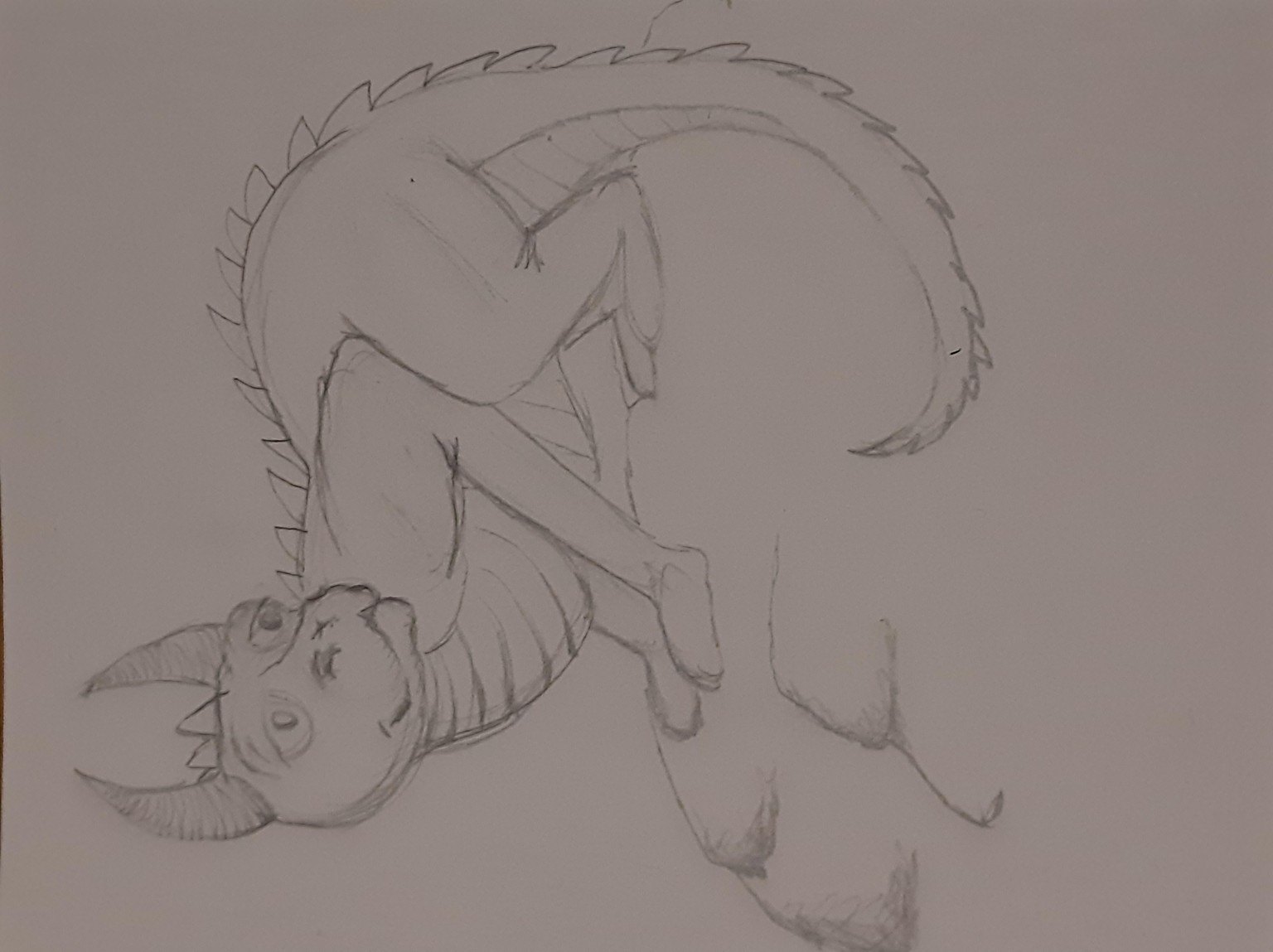 Dragon playtime - image 1 - student project