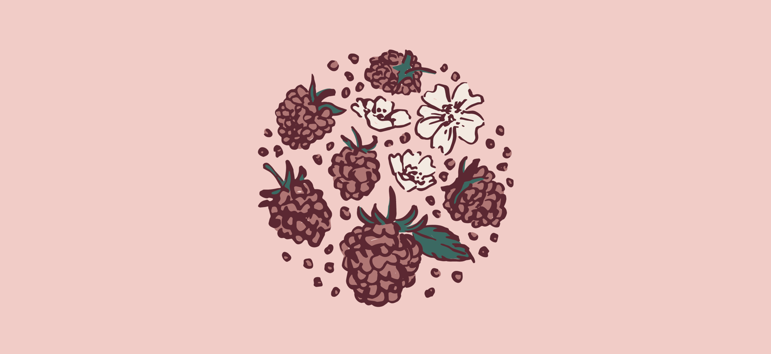 Raspberries - image 2 - student project