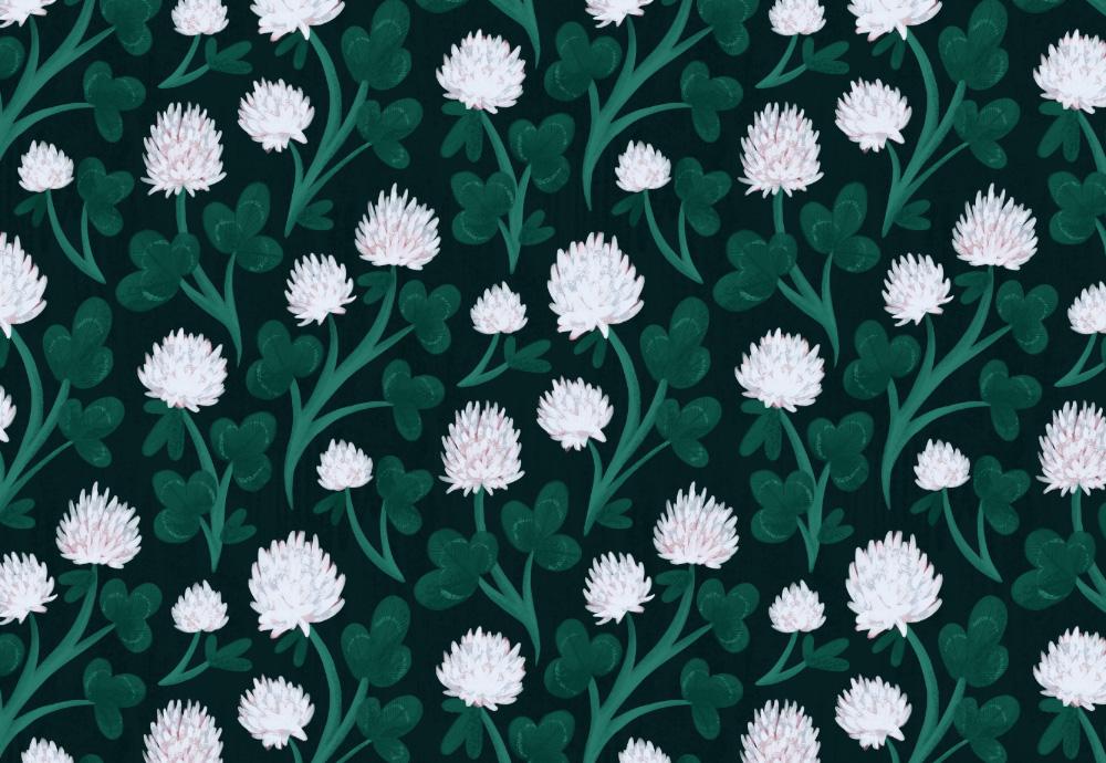 White Clovers - image 1 - student project