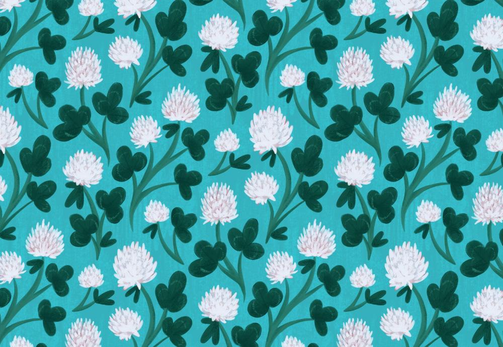 White Clovers - image 2 - student project
