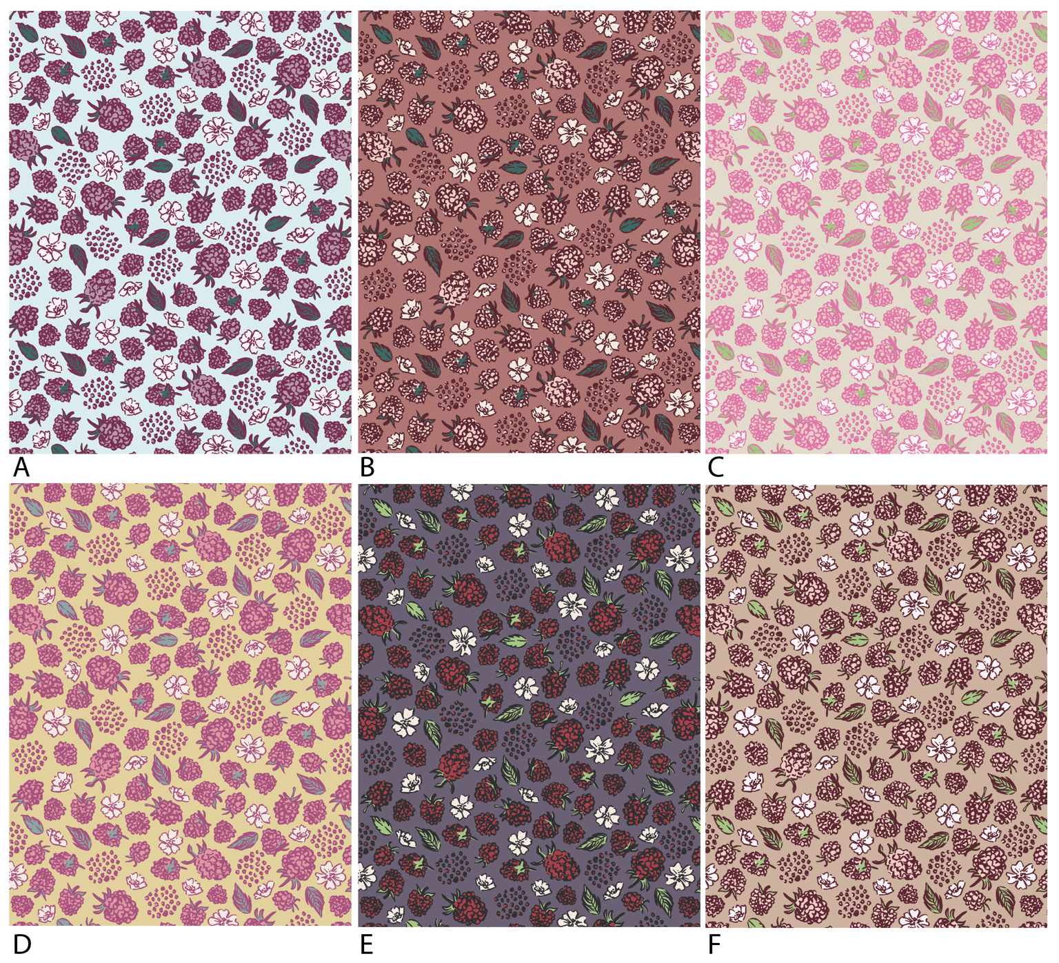 Raspberries - image 1 - student project