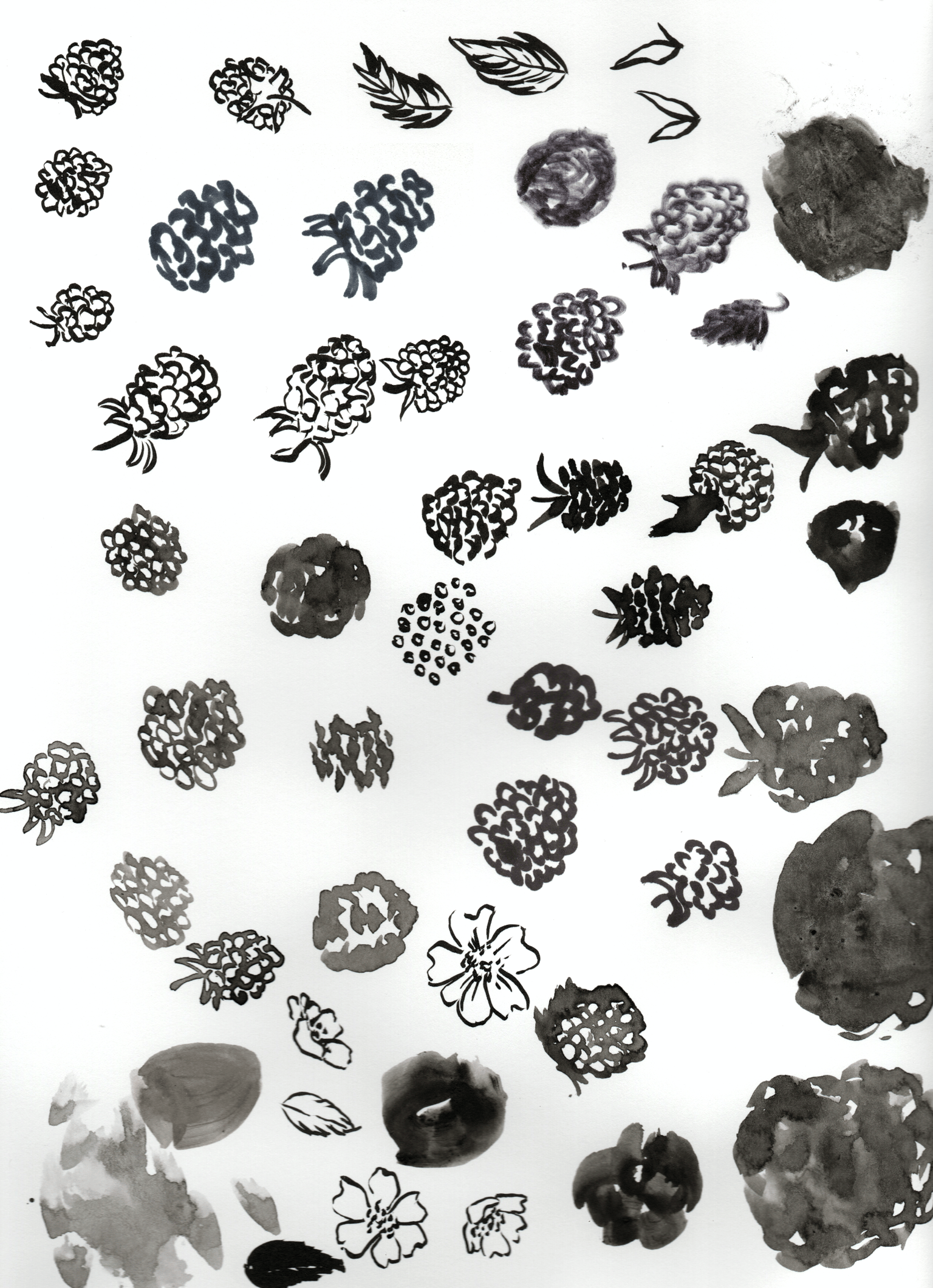 Raspberries - image 3 - student project
