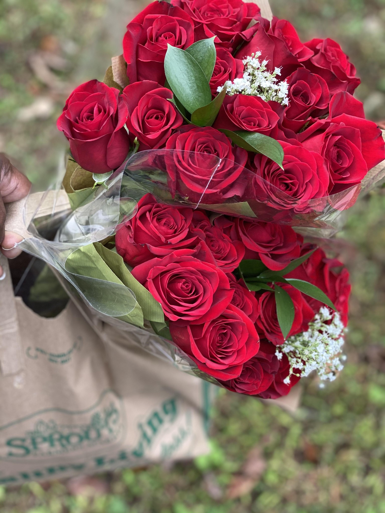 Roses - image 1 - student project