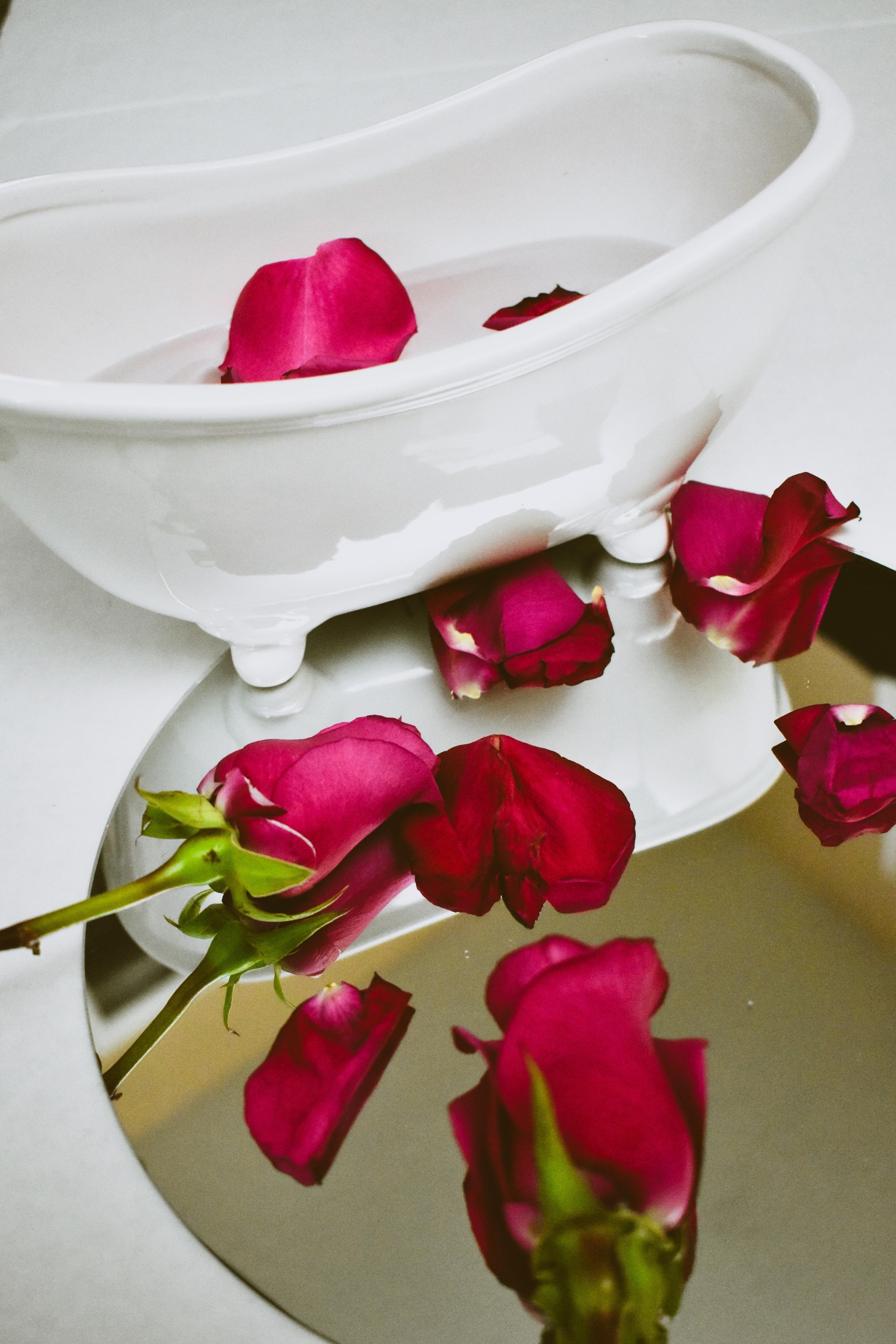 Roses - image 2 - student project