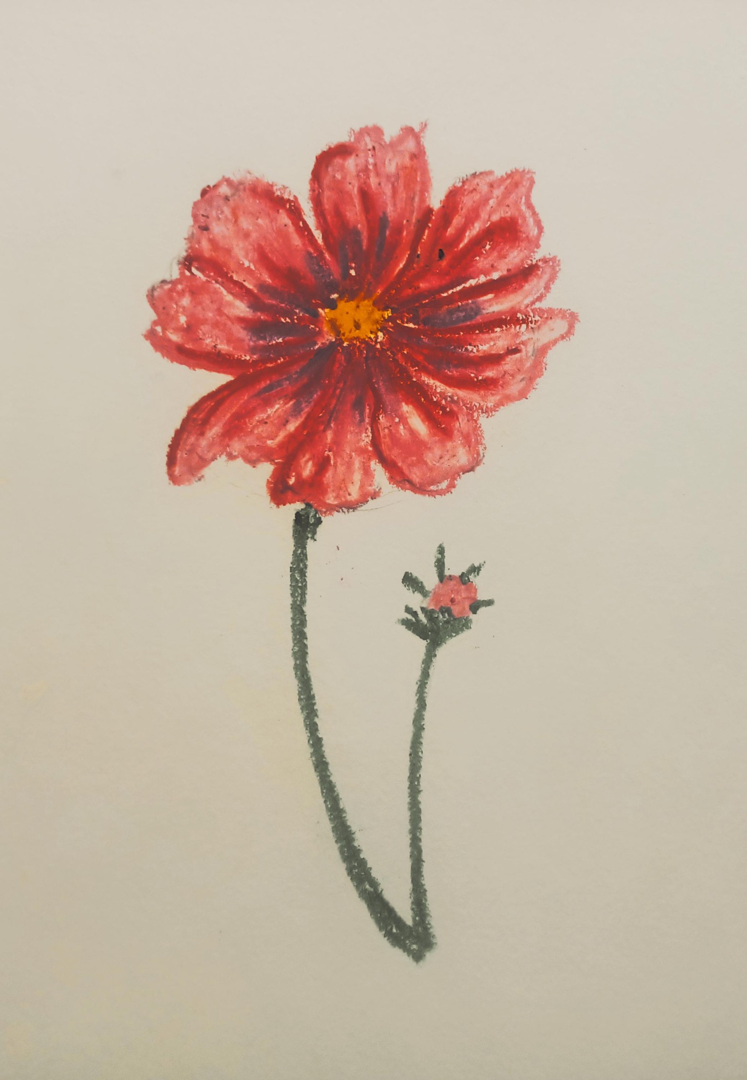 Cosmos - image 1 - student project