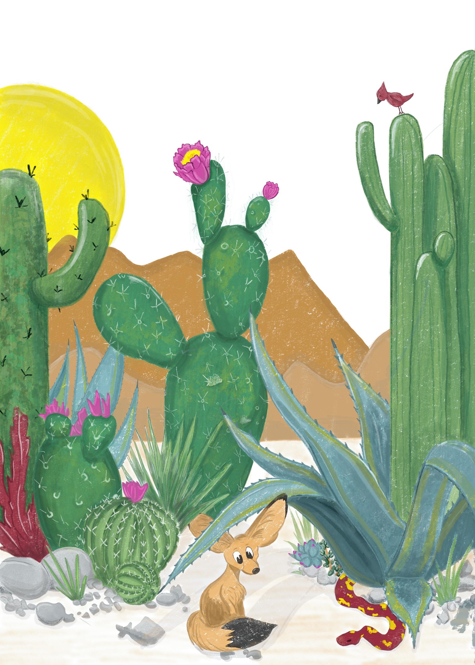 Illustration Cactus garden - image 1 - student project