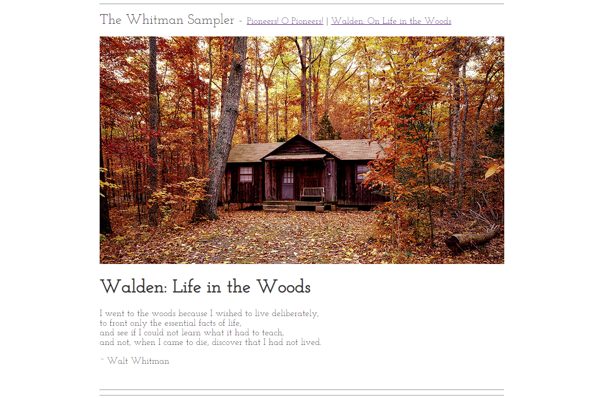 First time learning html - image 1 - student project