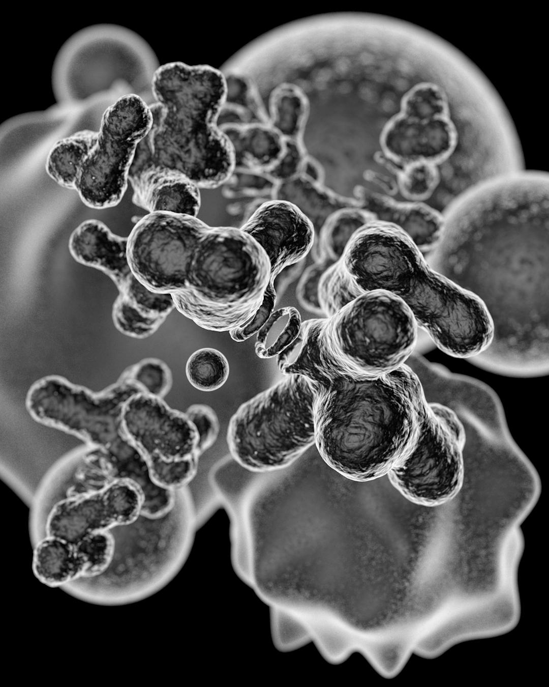 microscope styled objects - image 4 - student project